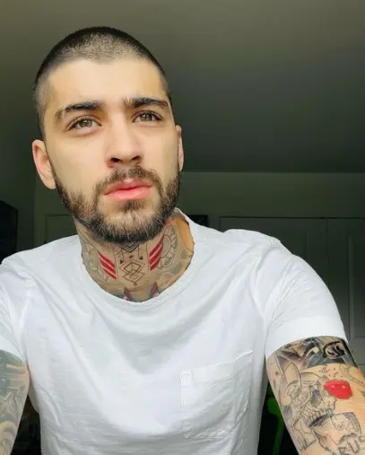 ojos de zayn malik