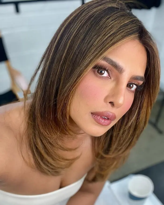 Priyanka Chopra con cejas gruesas
