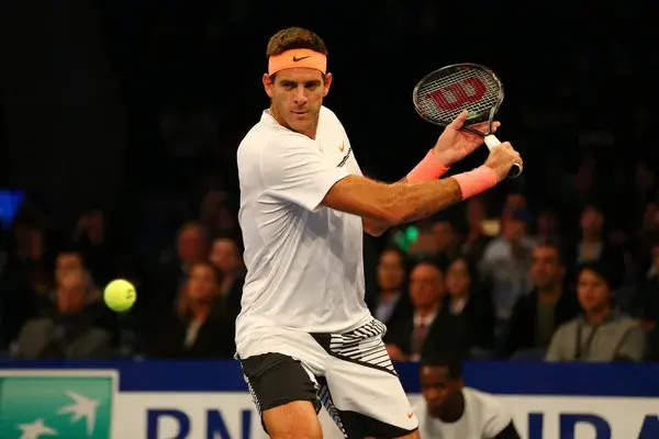 Juan Martín del Potro