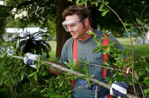 Usar gafas durante tareas en el jardín