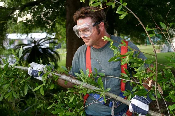 Usar gafas durante tareas en el jardín